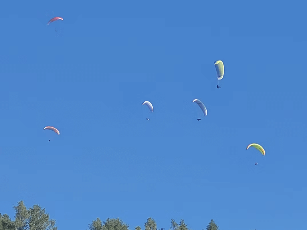 parapontes above the penthouse